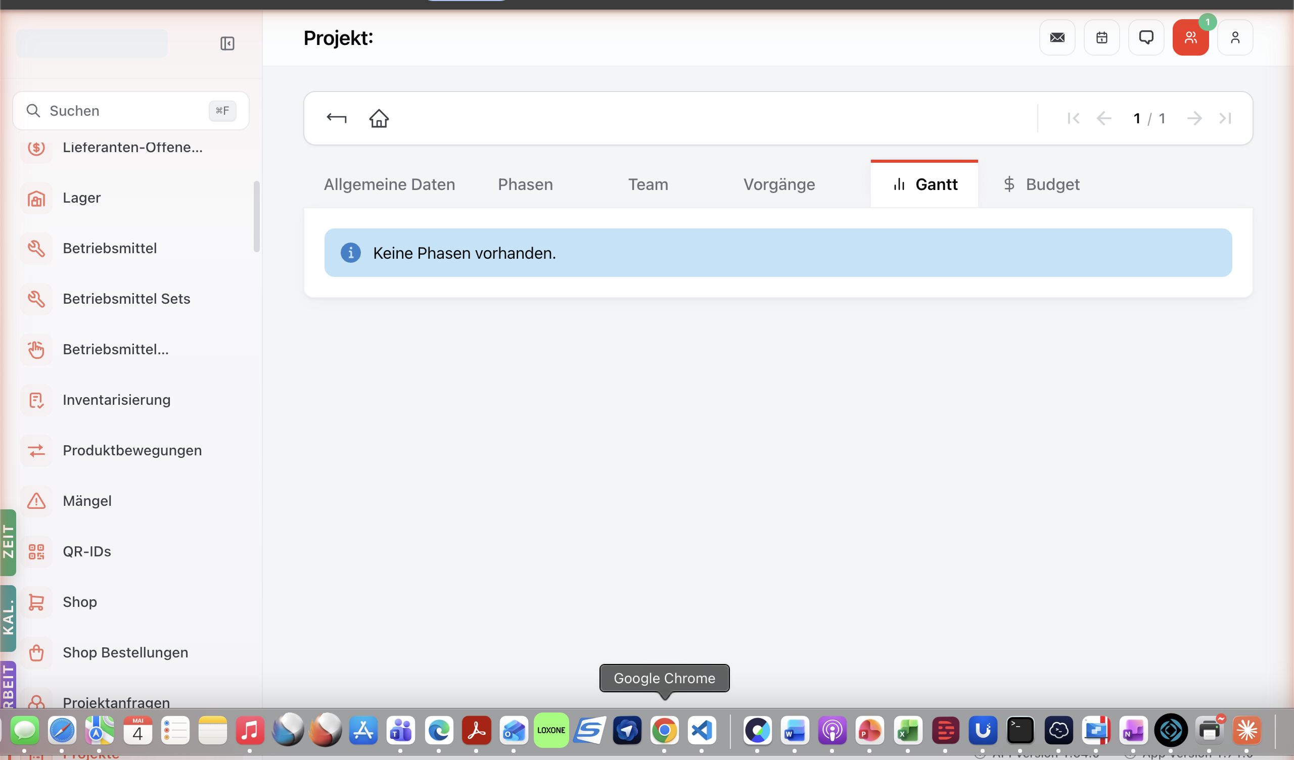 Projekt-Detail Tab Gantt — visuelle Zeitleiste der Phasen.